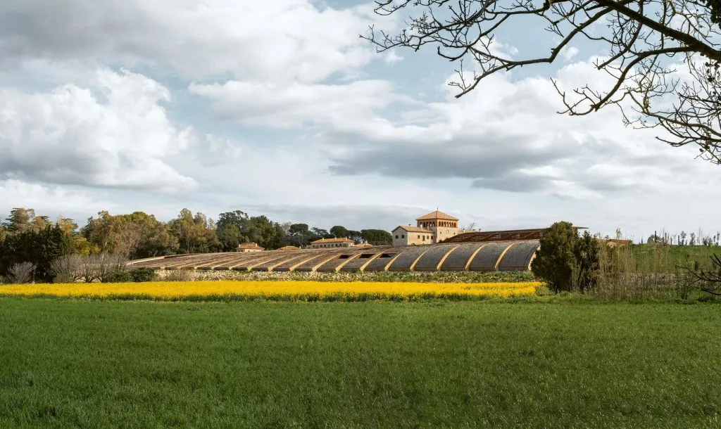 Bodega Perelada en el Empordà vista desde un campo de mostaza floreciendo en primavera, con cubierta ondulada de madera del nuevo edificio parcialmente enterrado en el viñedo y la masía histórica al fondo